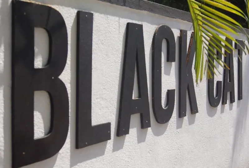 Black Cat Cafe & Stay Black Cat Cafe & Stay