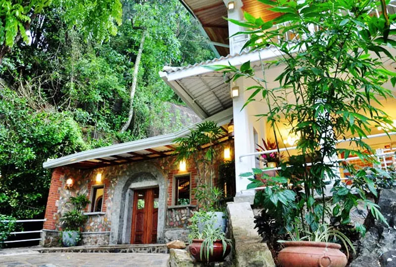 Forest Edge Forest Edge