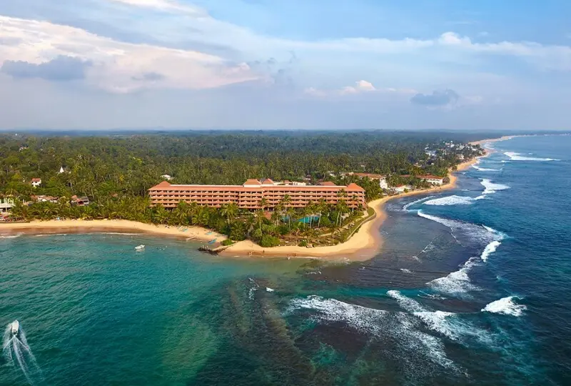 Hikka Tranz by Cinnamon