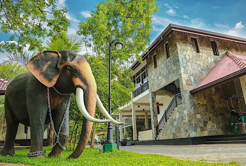 Oak Ray Elephant Lake