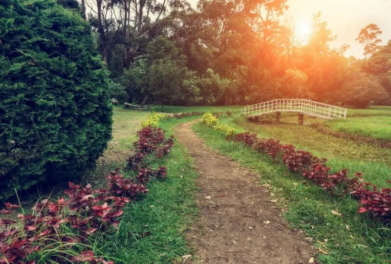 Stamford Star Hotel Stamford Star Hotel