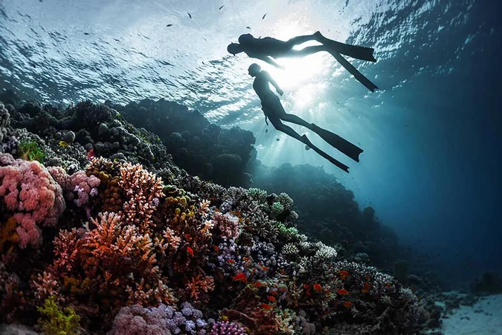 Diving and Snorkelling