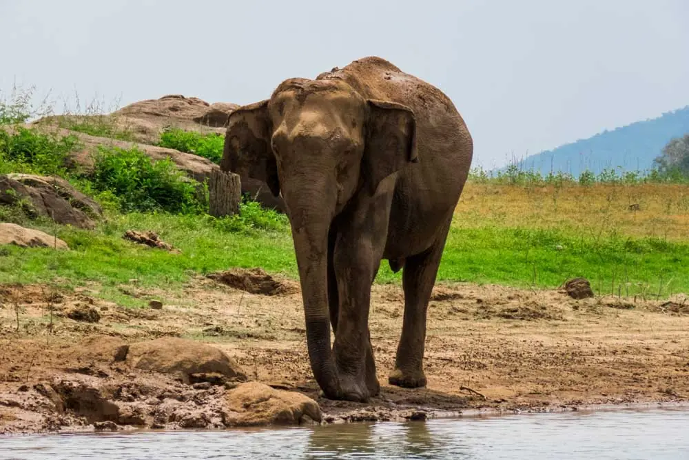 Things to do in Gal Oya