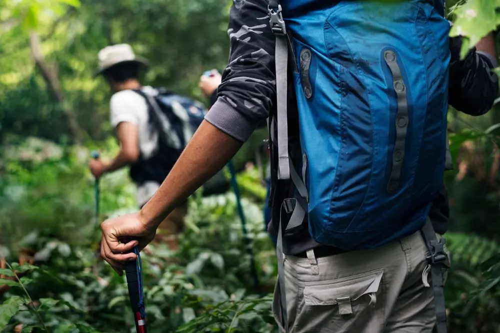 Things to do in Kitulgala Forest Reserve