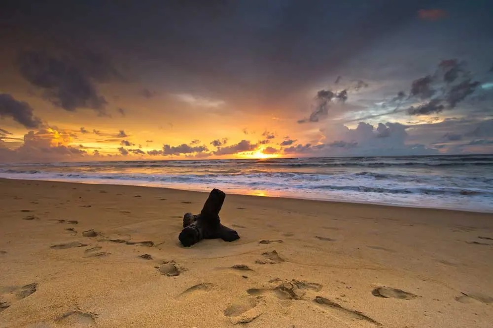 Things to do in Trincomalee