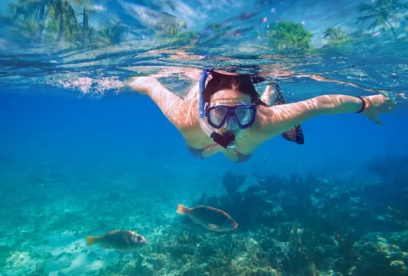 Tauchen und Schnorcheln in Mirissa