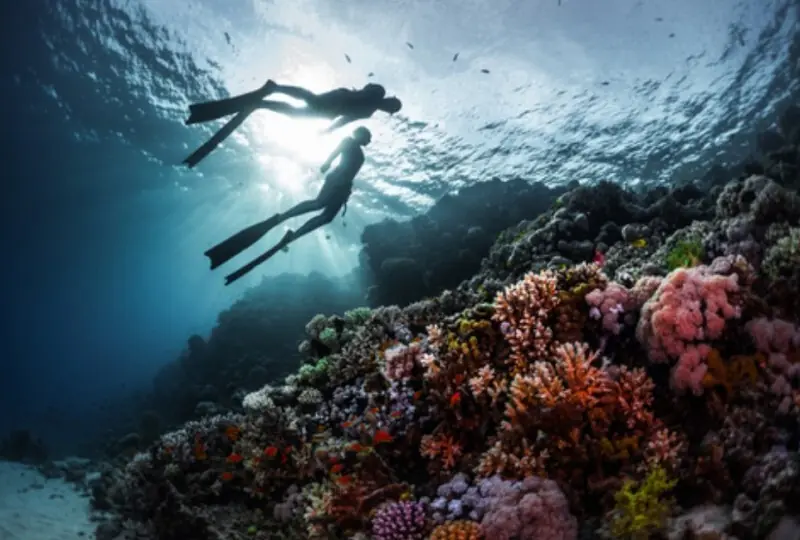 Tauchen und Schnorcheln in Weligama Tauchen und Schnorcheln in Weligama