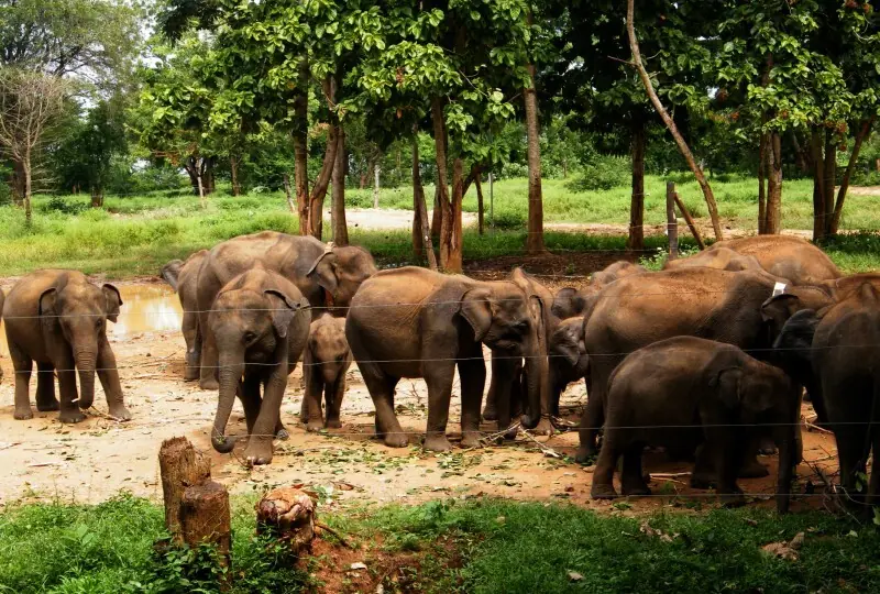 Elefanten-Transitheim Elefanten-Transitheim