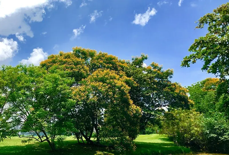 Golf in Trincomalee Golf in Trincomalee