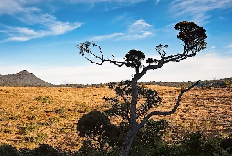 Horton Plains Horton Plains
