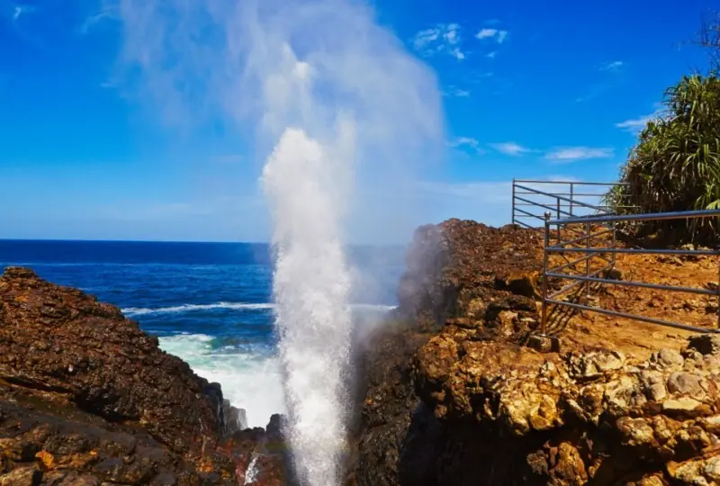 Hummanaya (Blasloch)