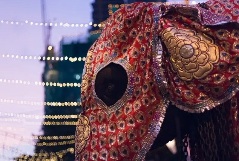 Kandy Esala Perahera