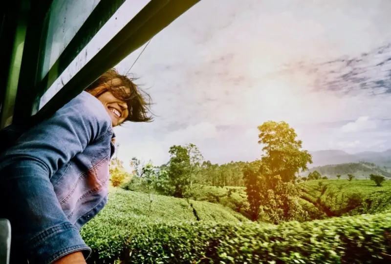 Kandy / Nuwara Eliya - Ella Train Excursions