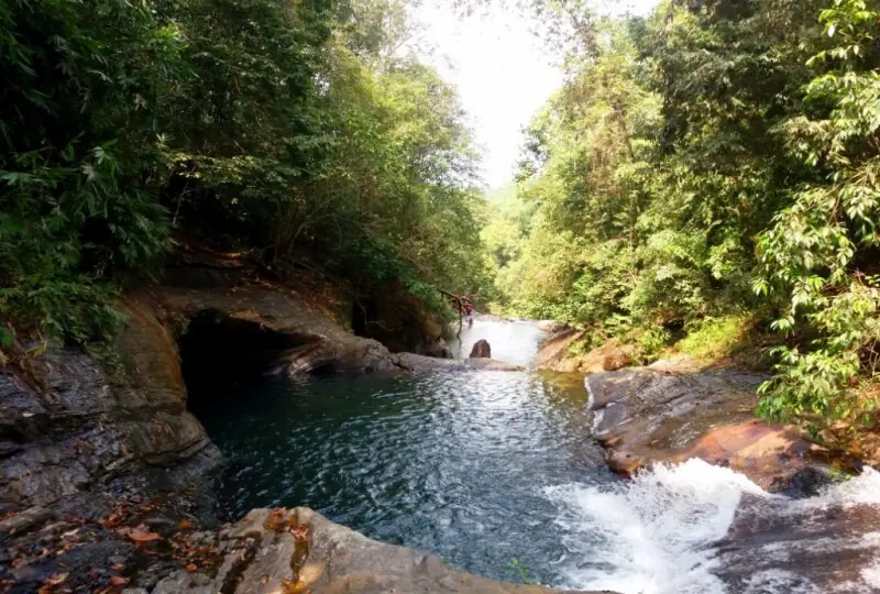 Kitulgala Dschungeltrekking