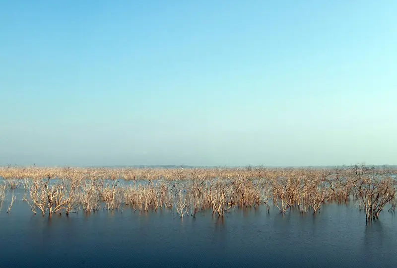 Lunugamvehera National Park