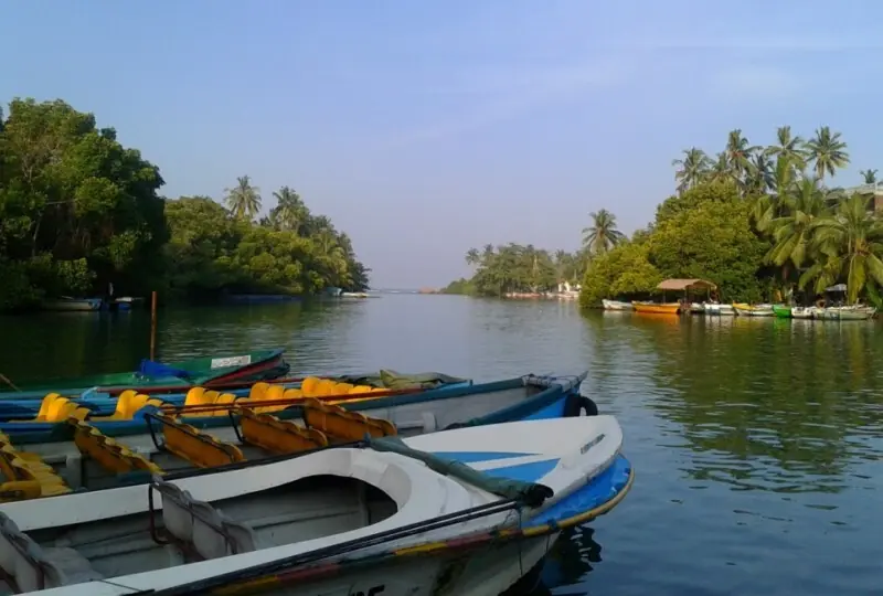Mangroven-Safari und Fisch-Spa im Madu River