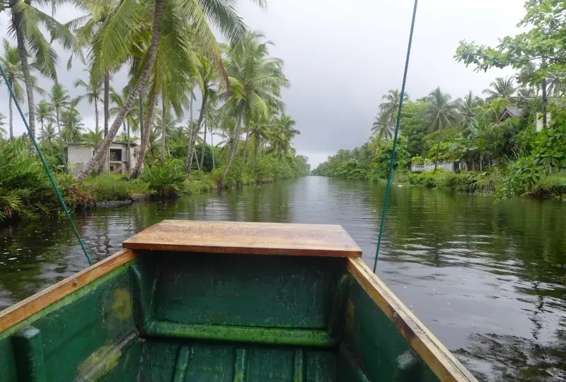 Muthurajawela Feuchtgebiete