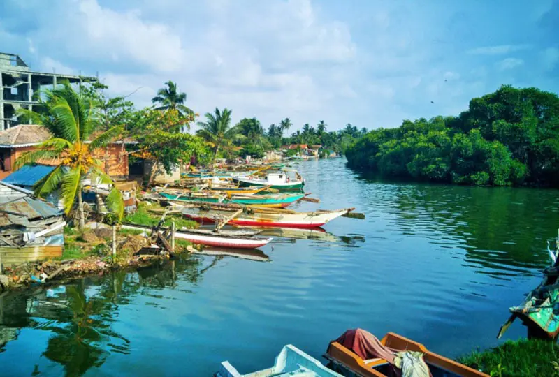 Negombo Lagune