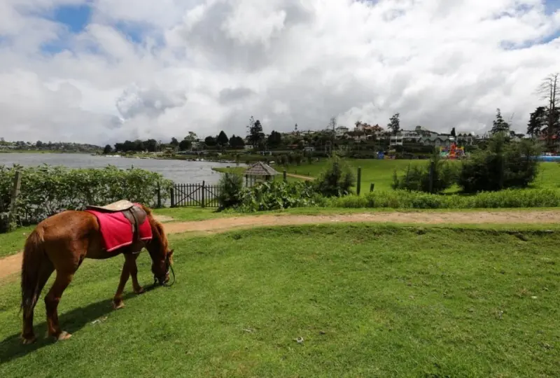 Nuwara Eliya Horse Racing Course