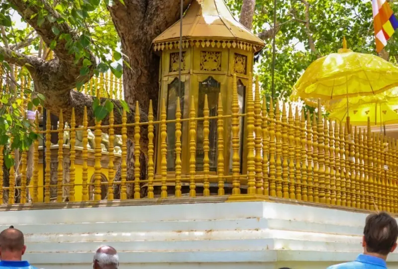 Sri Jaya Sri Maha Bodhi