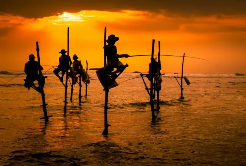 Die Stelzenfischer des Südens Die Stelzenfischer des Südens