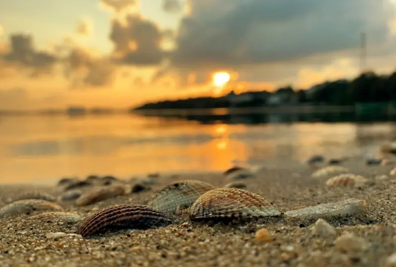 Trincomalee Hafen Trincomalee Hafen
