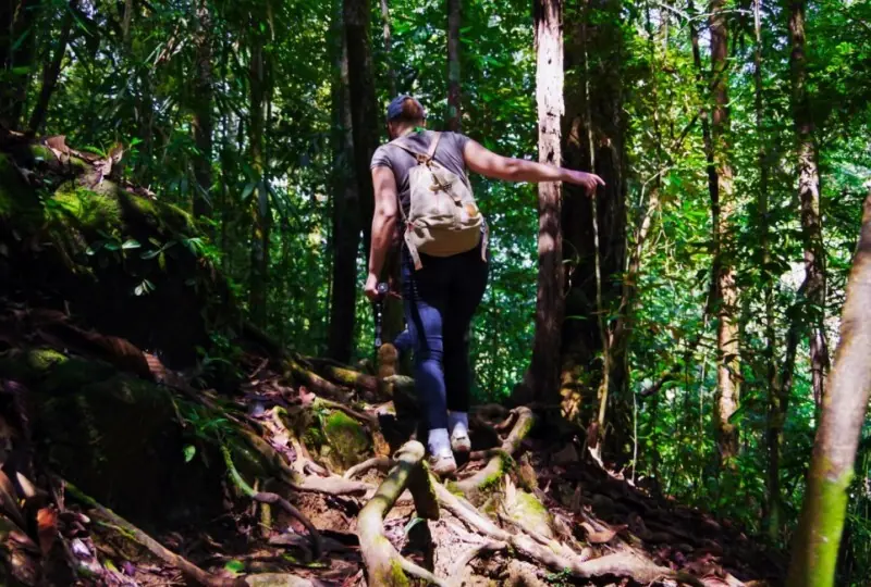 Trip to Singharaja Forest for the Day