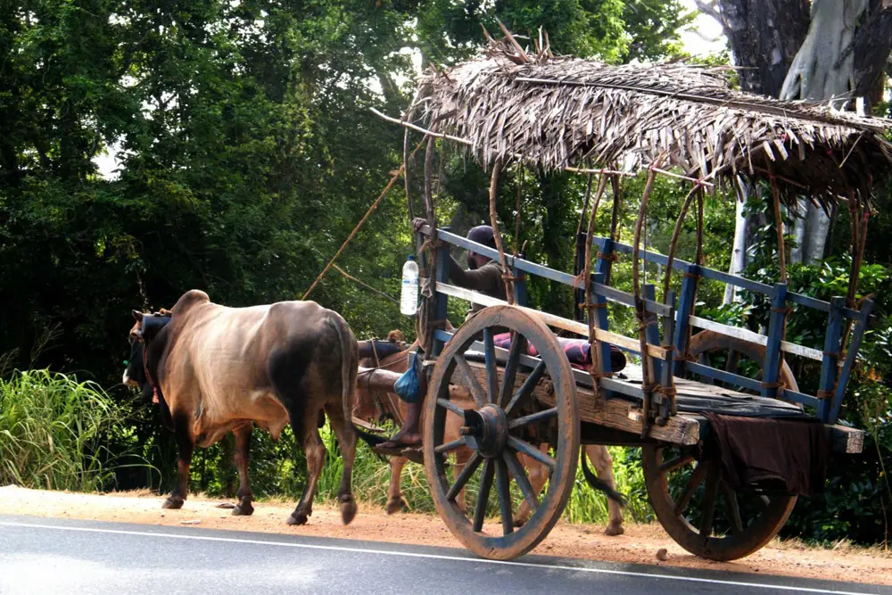 Dorfbesichtigung Dorfbesichtigung